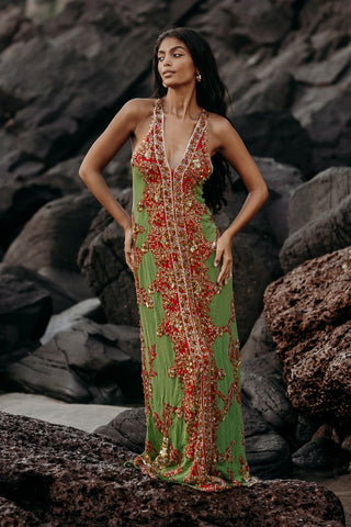 Reina de la Noche "Llama Esmeralda"