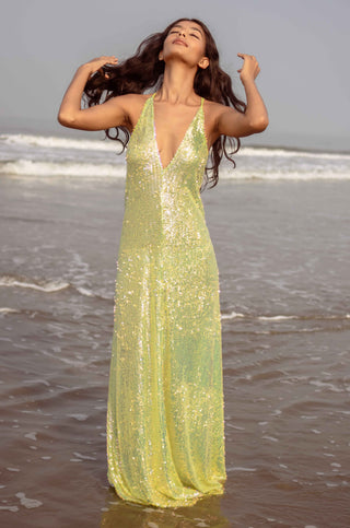 Queen of the Night "Green Mamba"