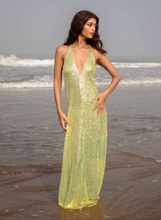 Queen of the Night "Green Mamba"