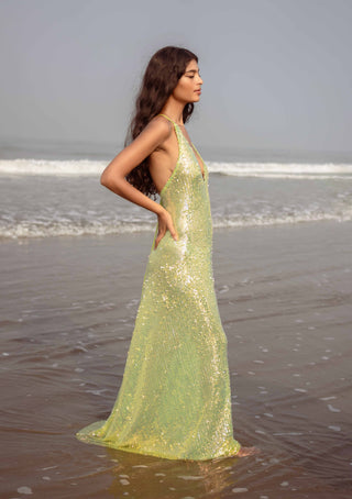 Queen of the Night "Green Mamba"