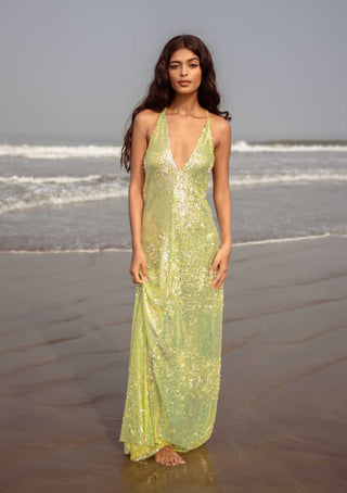Queen of the Night "Green Mamba"