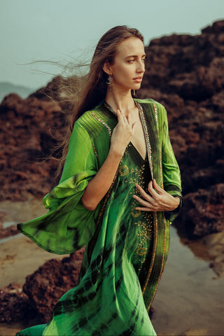 Magic Dress "Froschkönig"